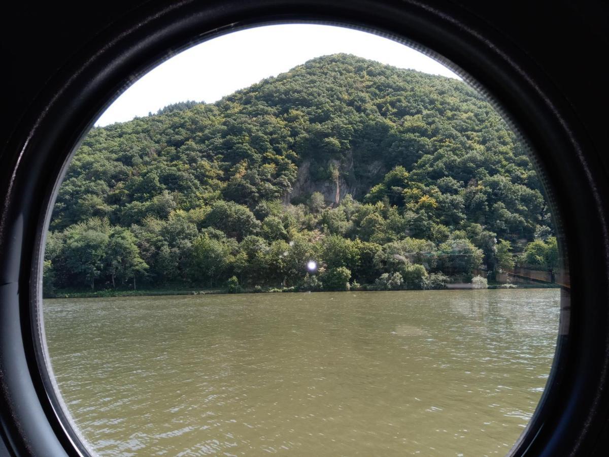 Hausboot Moselrose In Poelich Hotel Polich Ngoại thất bức ảnh